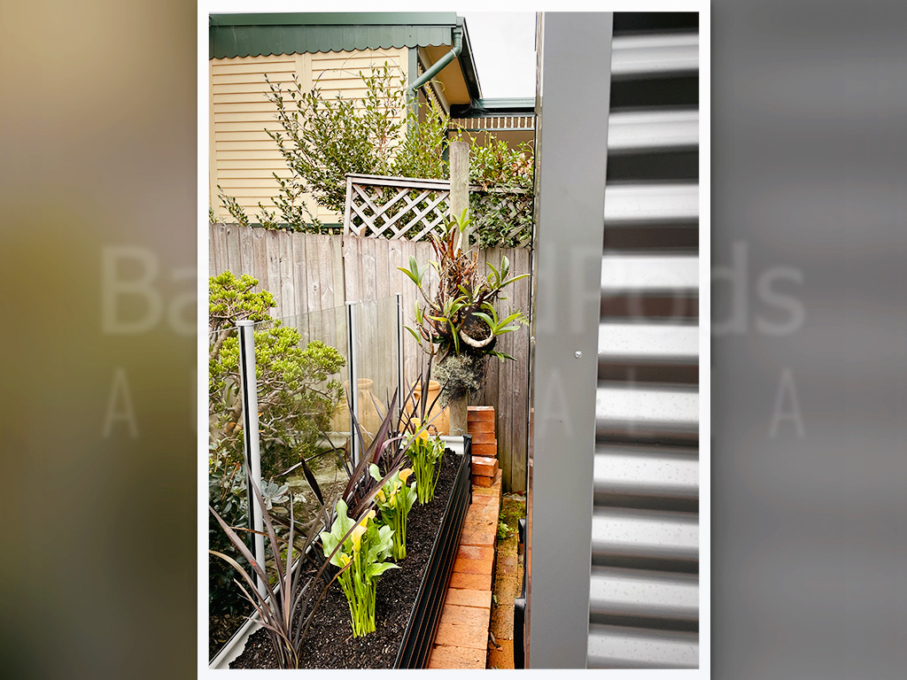 Backyard studios no approval Sydney - Hunters Hill pic 2